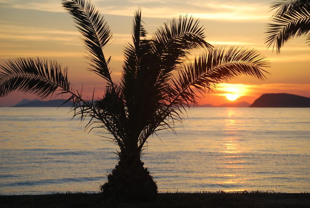 Club Blue White All Inclusive Turgutreis Bagian luar foto