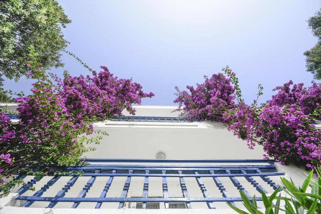 Club Blue White All Inclusive Turgutreis Bagian luar foto